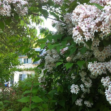 La Butte De Gohier Bed and Breakfast Blaison Εξωτερικό φωτογραφία