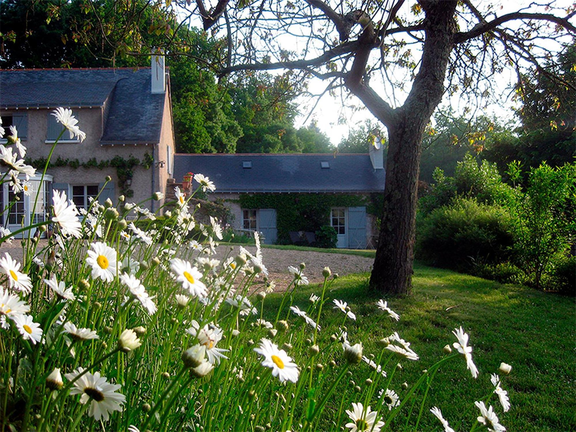 La Butte De Gohier Bed and Breakfast Blaison Εξωτερικό φωτογραφία