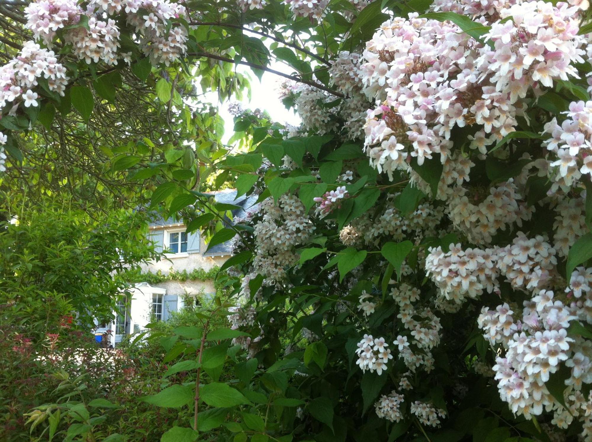 La Butte De Gohier Bed and Breakfast Blaison Εξωτερικό φωτογραφία