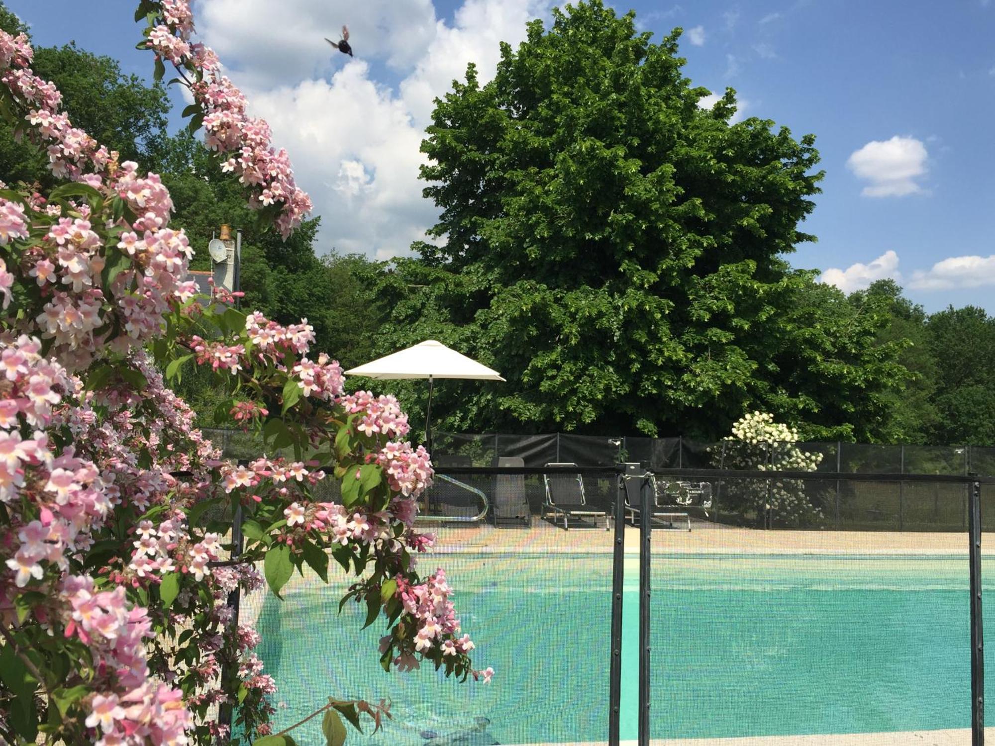 La Butte De Gohier Bed and Breakfast Blaison Εξωτερικό φωτογραφία